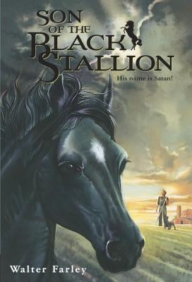 Son of the Black Stallion by Farley, Walter