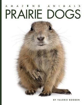 Prairie Dogs by Bodden, Valerie