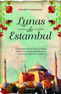 Lunas de Estanbul by Goldberg, Sophi