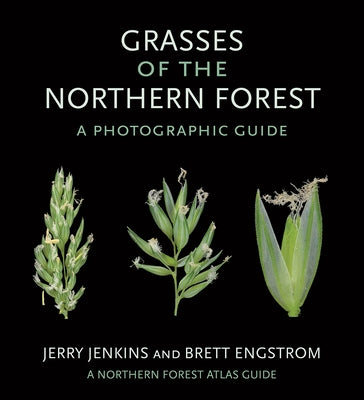 Grasses of the Northern Forest: A Photographic Guide by Jenkins, Jerry