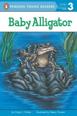 Baby Alligator by Clarke, Ginjer L.