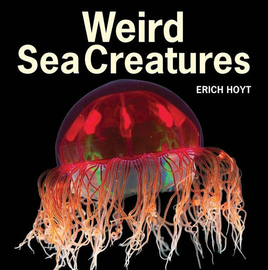 Weird Sea Creatures by Hoyt, Erich