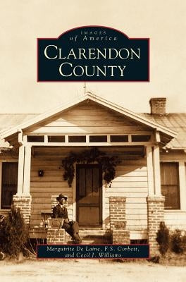 Clarendon County by Delaine, M. L.