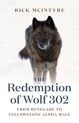 The Redemption of Wolf 302: From Renegade to Yellowstone Alpha Male by McIntyre, Rick