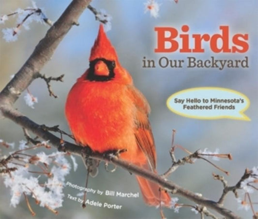Birds in Our Backyard: Say Hello to Minnesota's Feathered Friends by Marchel, Bill