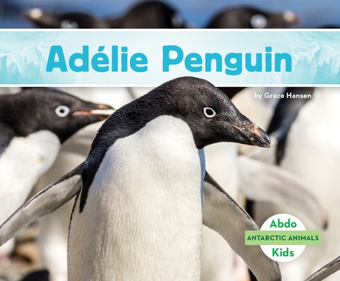 Adélie Penguin by Hansen, Grace