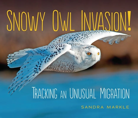 Snowy Owl Invasion!: Tracking an Unusual Migration by Markle, Sandra