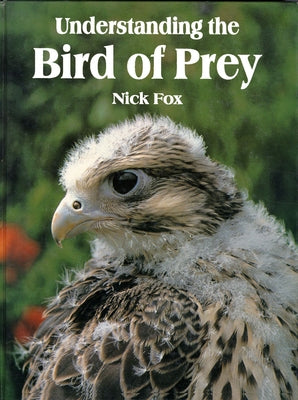 Understanding the Bird of Prey by Fox, Nicholas