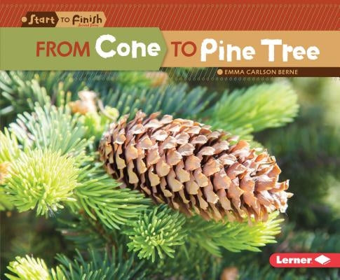 From Cone to Pine Tree by Carlson-Berne, Emma