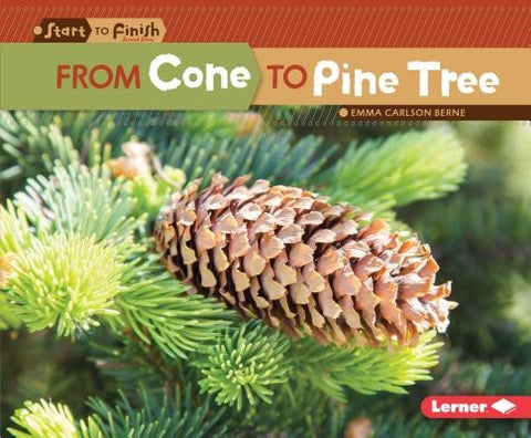 From Cone to Pine Tree by Carlson-Berne, Emma