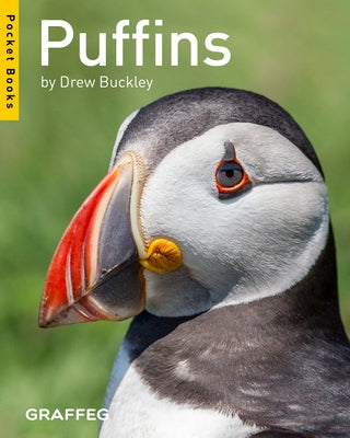 Puffins by Buckley, Drew