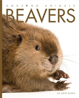 Amazing Animals: Beavers by Riggs, Kate