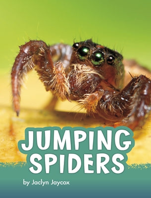 Jumping Spiders by Jaycox, Jaclyn