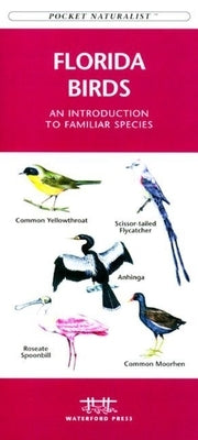 Alaska Wildlife: A Folding Pocket Guide to Familiar Animals by Kavanagh, James