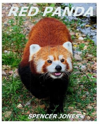 Red Panda: Learn About Red Pandas-Amazing Pictures & Fun Facts by Jones, Spencer