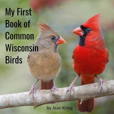 My First Book of Common Wisconsin Birds by Krieg, Jean