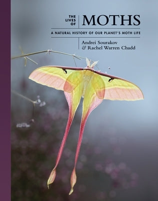 The Lives of Moths: A Natural History of Our Planet's Moth Life by Sourakov, Andrei