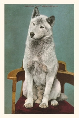 Vintage Journal Malamute on Chair by Found Image Press