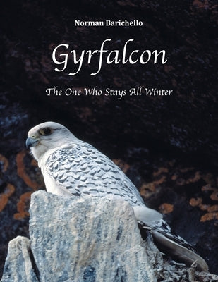 Gyrfalcon: The One Who Stays All Winter by Barichello, Norman