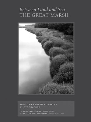 Between Land and Sea: The Great Marsh: Photographs by Dorothy Kerper Monnelly by Kerper Monnelly, Dorothy