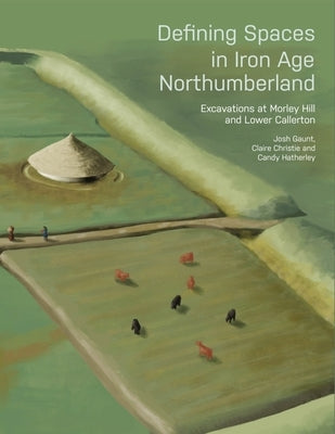 Defining Spaces in Iron Age Northumberland: Excavations at Morley Hill and Lower Callerton by Gaunt, Josh