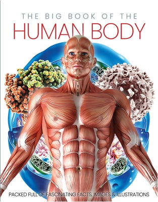 The Big Book of the Human Body by Marsh, Katharine