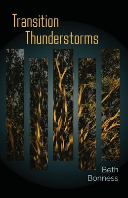 Transition Thunderstorms by Bonness, Beth