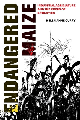 Endangered Maize: Industrial Agriculture and the Crisis of Extinction by Curry, Helen Anne