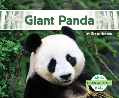 Giant Panda by Hansen, Grace