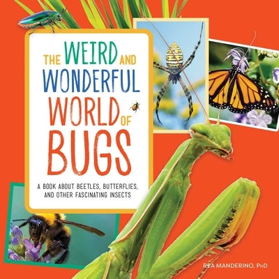 The Weird and Wonderful World of Bugs: A Book about Beetles, Butterflies, and Other Fascinating Insects by Manderino, Rea