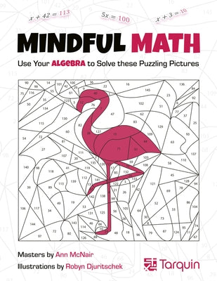 Mindful Math 1: Use Your Algebra to Solve These Puzzling Picturesvolume 1 by McNair, Ann