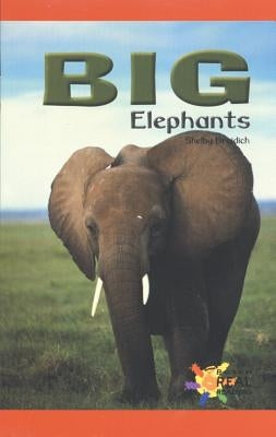 Big Elephants by Braidich, Shelby
