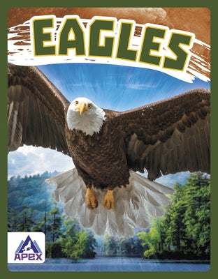 Eagles by Golkar, Golriz