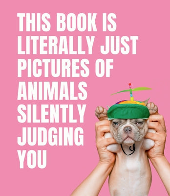 This Book Is Literally Just Pictures of Animals Silently Judging You by Smith Street Books