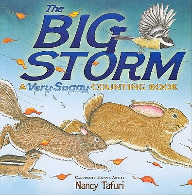 The Big Storm: A Very Soggy Counting Book by Tafuri, Nancy