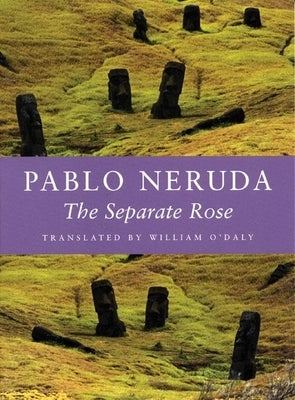 The Separate Rose by Neruda, Pablo