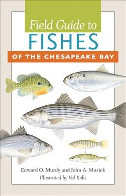 Field Guide to Fishes of the Chesapeake Bay by Murdy, Edward O.