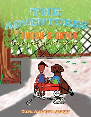 The Adventures of Snook & Gator: Snook's Cool Idea for A Hot Day by Rocker, Tara Annette