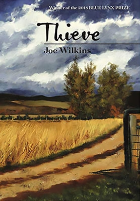 Thieve by Wilkins, Joe