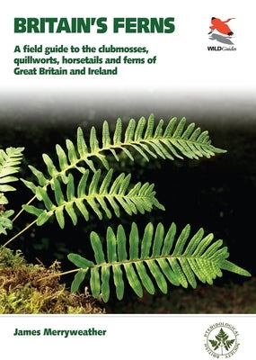 Britain's Ferns: A Field Guide to the Clubmosses, Quillworts, Horsetails and Ferns of Great Britain and Ireland by Merryweather, James