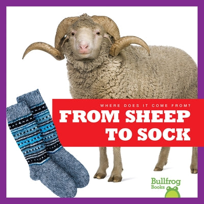 From Sheep to Sock by Toolen, Avery
