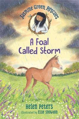 Jasmine Green Rescues: A Foal Called Storm by Peters, Helen