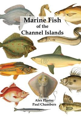 Marine Fish of the Channel Islands by Chambers, Paul