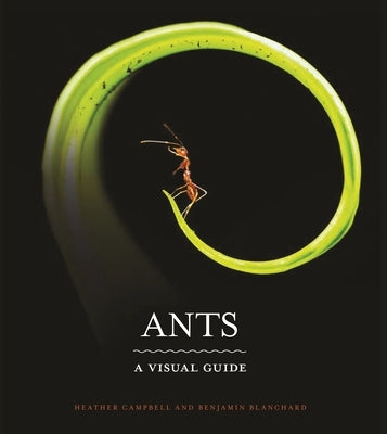 Ants: A Visual Guide by Campbell, Heather