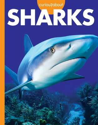 Curious about Sharks by Hansen, Amy S.