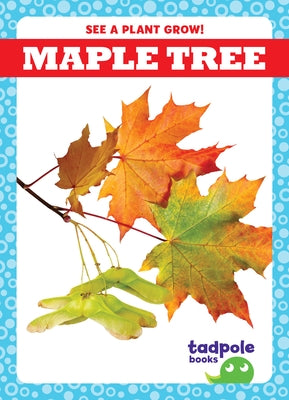 Maple Tree by Sterling, Charlie W.