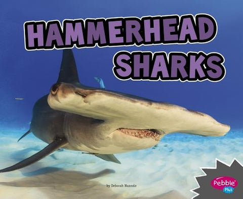 Hammerhead Sharks by Nuzzolo, Deborah