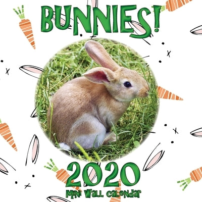 Bunnies! 2020 Mini Wall Calendar by Sea Wall