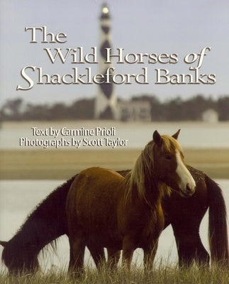 Wild Horses of Shackleford Banks by Prioli, Carmine