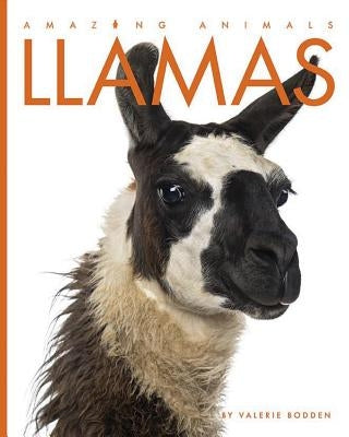 Llamas by Bodden, Valerie